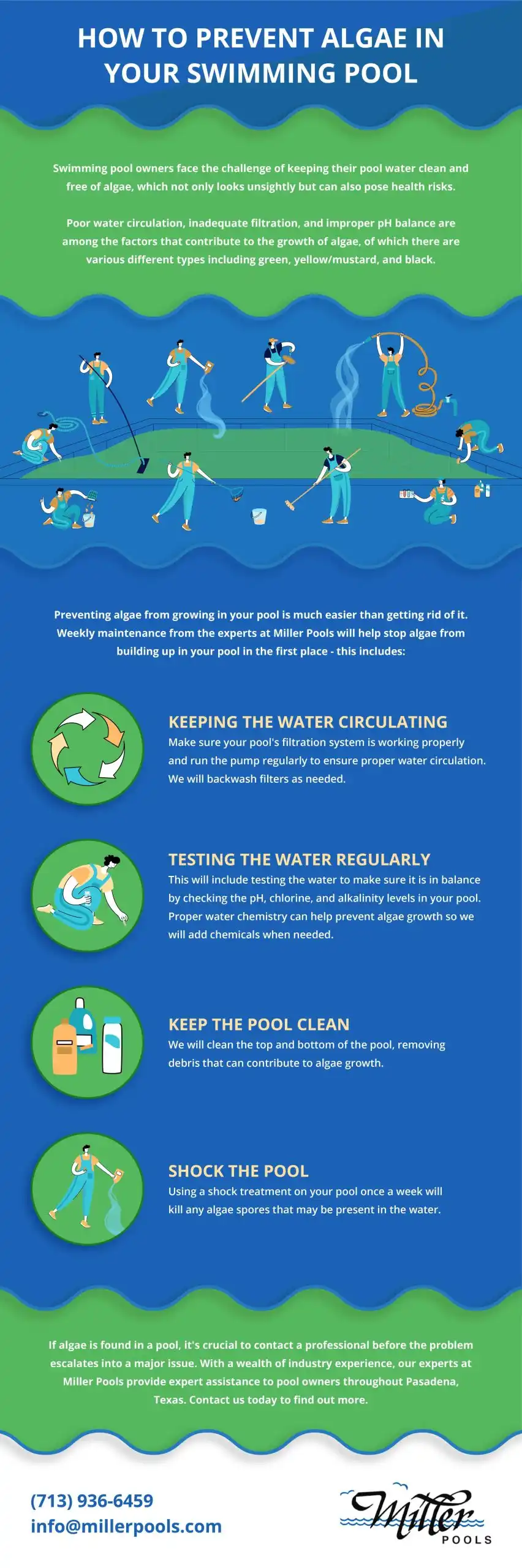 How to Prevent Algae in Your Swimming Pool (Infographic)